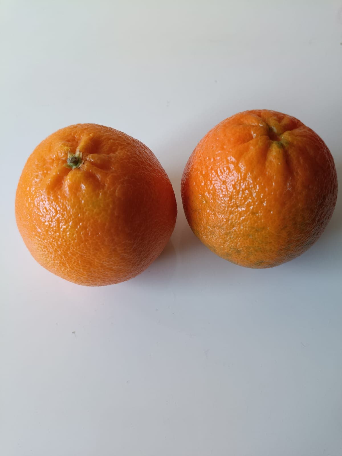 Mandarinas