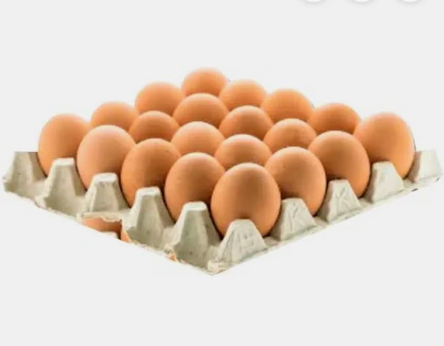 Huevos 20 unidades